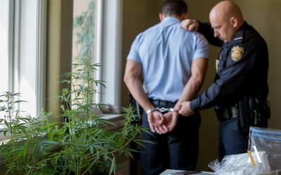 Tráfico de drogas que no causan grave daño a la salud en España